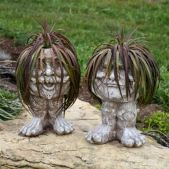 Mad About Mangave® 'Bad Hair Day' Mangave -Greatgardenplants Mangave BadHairDay Mangave