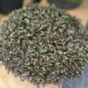 'Platt's Black' Brass Buttons -Greatgardenplants leptinella platts black 1