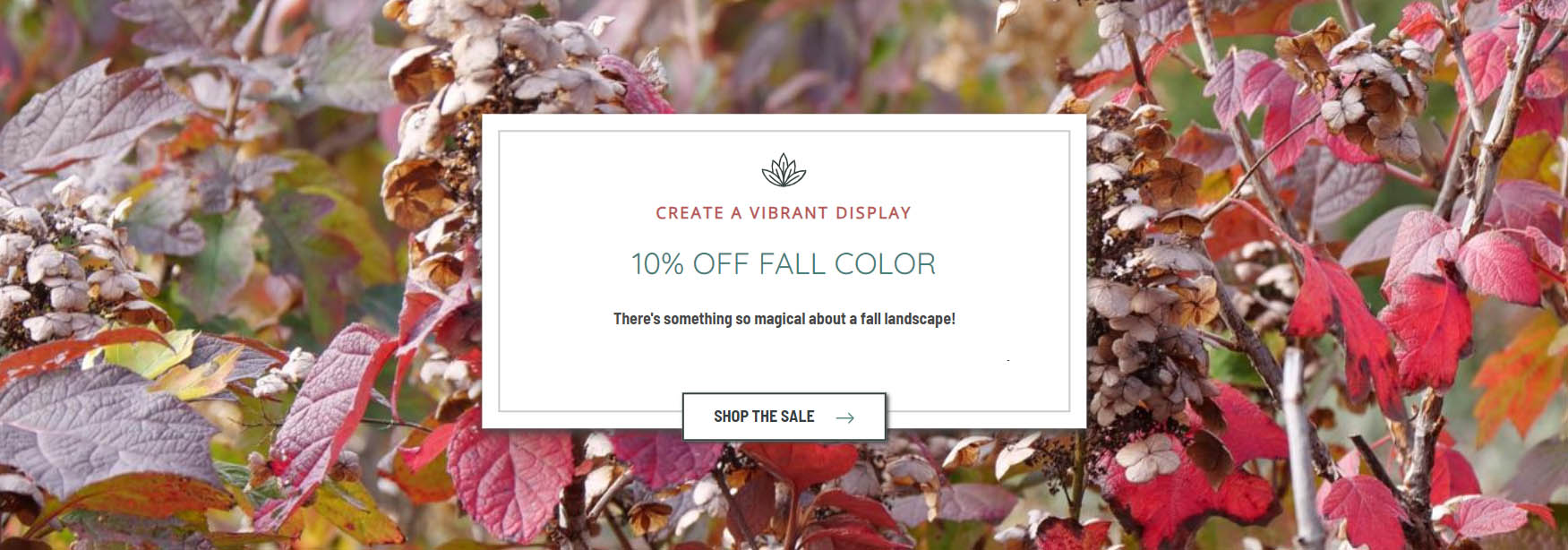 Greatgardenplants -Greatgardenplants FYRTY